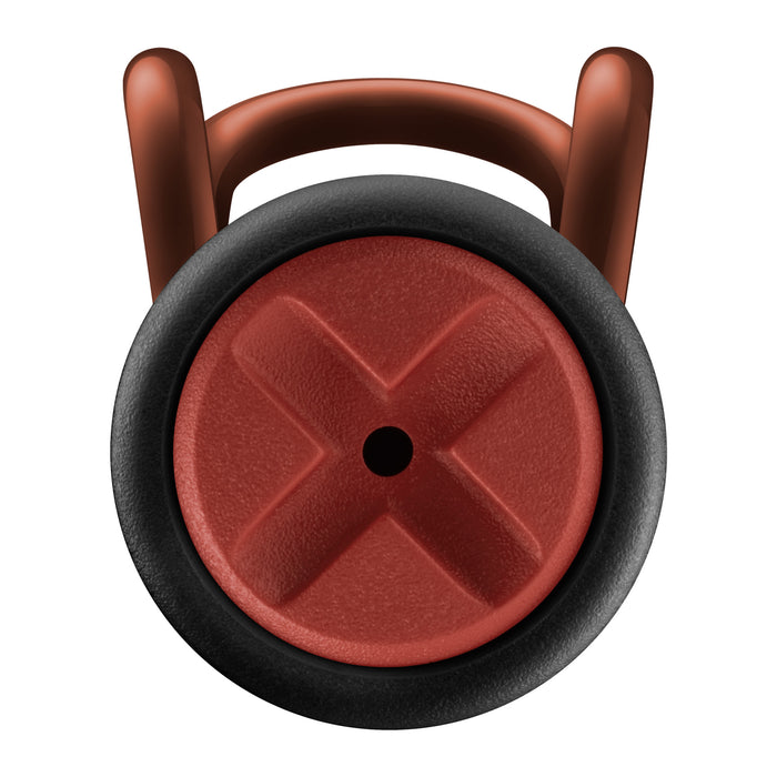 LAMY Safari Harry Potter Gryffindor Fountain Pen