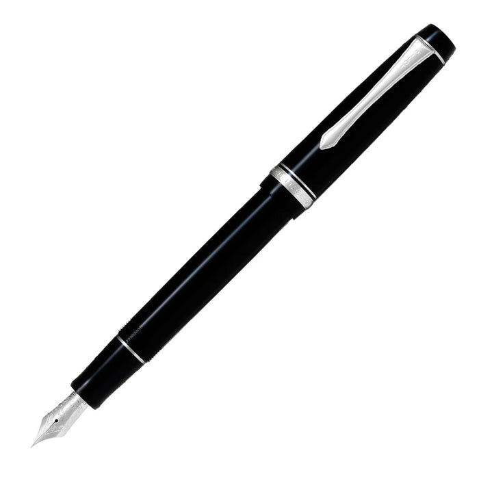 Pilot Heritage 91 Black Fountain Pen